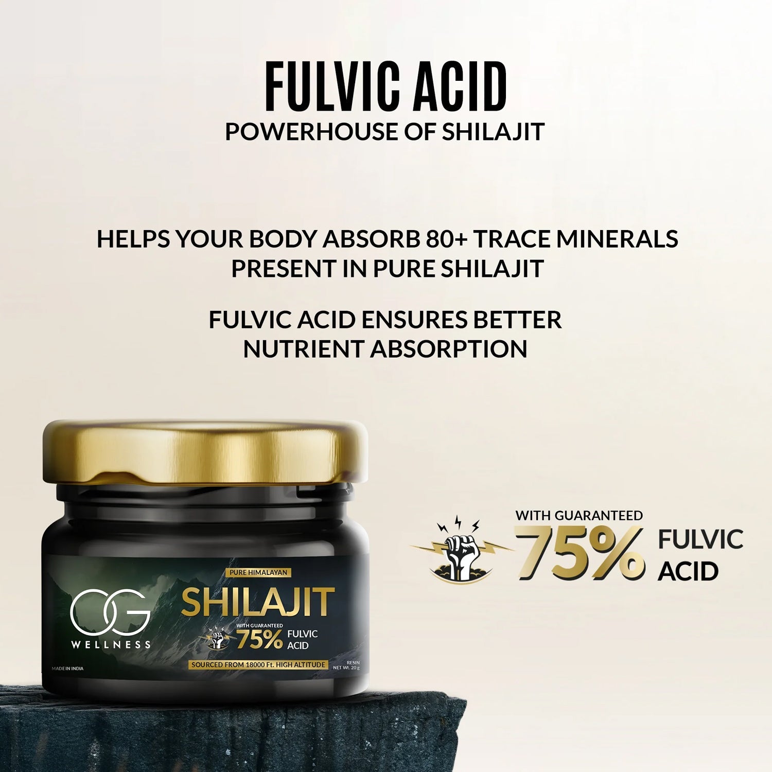 OG Wellness Immunity Boost Shilajit